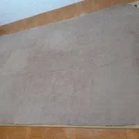 موکت سالم و تمیز