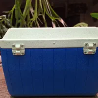 کلمن.یخدان|ظروف نگهدارنده، پلاستیکی، یک‌بارمصرف|تهران, نارمک جنوبی|دیوار