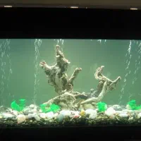 آکواریوم شیشه 10 میل