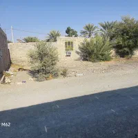 زمین