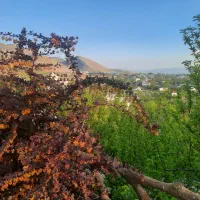 فروش-باغ-شهر-اهل-بیت