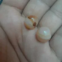 مهره سلیمانی
