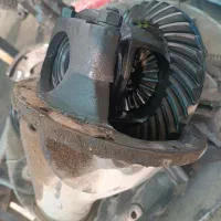 دف گله گاوی پیکان و اردی و پیکانبار