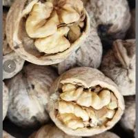 گردو درج یک تحویل درب منزل به شرط پسند شما