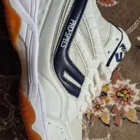 کتونی ورزشی