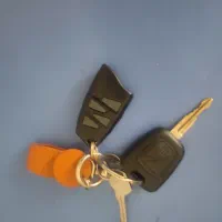 سوییچ پیدا شده