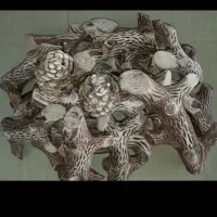 هیزم شومینه زیر قیمت|بخاری، هیتر، شومینه|لاهیجان, جمهوری|دیوار