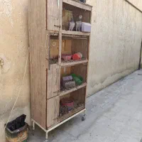 جفتگاه