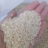 برنج سر لاشه معطر ایرانی|خوردنی و آشامیدنی|فریمان, |دیوار