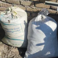 بار کفتر و مرغ