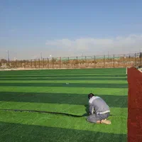 چمن زمین ورزشی و فوتبال|تجهیزات ورزشی|شیراز, گویم|دیوار