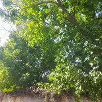 منزل-ویلایی-همت-شمالی