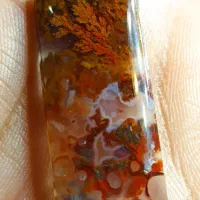 نگین های شجر عالی|جواهرات|سرایان, |دیوار