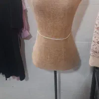 مانکن سوزن خور