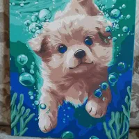 سفارشات پذیرفته می‌شود