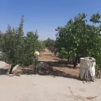 باغ سیخ دارنگون پرژور احرار نرگس متراژ 1800متر|فروش خانه و ویلا|شیراز, دارالرحمه|دیوار