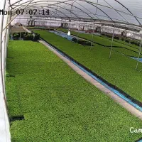 فروش ویلا و گلخانه صنعتی در همدان بهار