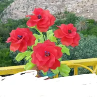 هنر دست خودم