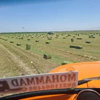 فروش یونجه بسته بندی انباری