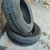 لاستیک بارز