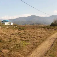 ۱۵هکتاری سندتک برگ