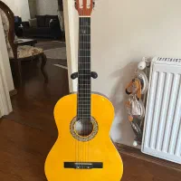 گیتار نو به همراه کیف