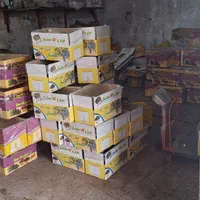 کشمش افتابی کاشمر .سبز. مویز. دودی|عمدهفروشی|کاشمر, |دیوار