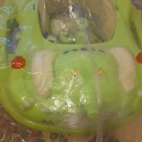 روروعک بچه موزیکال|اسباب و اثاث بچه|کهریزک, |دیوار