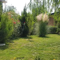 فروش وتهاتر تجاری بر اصلی گلستان یکم۱