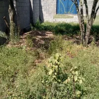 ۲۰۰متر با پروانه ساخت ۷۱متری در گورابزرمیخ روستای|فروش زمین و ملک کلنگی|گوراب زرمیخ, |دیوار