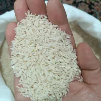 طارم هاشمی رشت|خوردنی و آشامیدنی|گمیشان, |دیوار