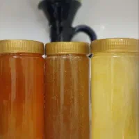 عسل طبیعی کوهستان ضمانتی ارسال رایگان
