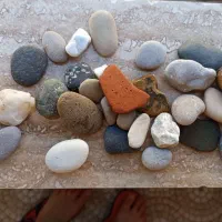 وسایل آکواریوم