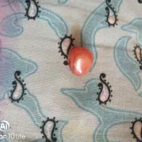 سنگ عقیق|کلکسیون اشیاء عتیقه|همایجان, |دیوار