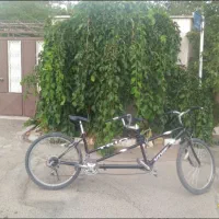 دوچرخه دونفره