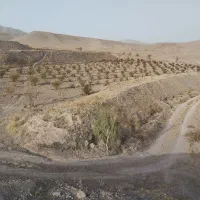 فروش چاه کشاورزی دربست|فروش زمین و ملک کلنگی|قائن, |دیوار