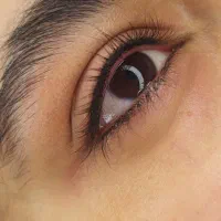 خدمات کاملا حرفه ای آرایش دائم و تاتوی بدن بانوان|خدمات آرایشگری و زیبایی|سنندج, |دیوار