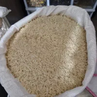 برنج هاشمی ممتاز