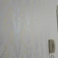 نقاشی ساختمان و طرح کاغذدیواری|خدمات پیشه و مهارت|قم, بکایی|دیوار