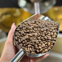 قهوه/فول کافیین/عربیکا/روبستا/ترکیبی|عمده‌فروشی|تهران, دریاچه شهدای خلیج فارس|دیوار