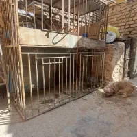 قفس تمام میلگرد