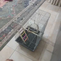 قفس پرنده