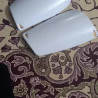 ساق بندپا