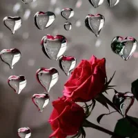 مدل برداشتن ابرو رایگان