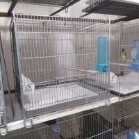 قفس مناسب سهره|لوازم جانبی حیوانات|تهران, والفجر (افسریه)|دیوار