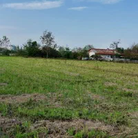 فروش زمین مسکونی|فروش زمین و ملک کلنگی|رضوانشهر, |دیوار