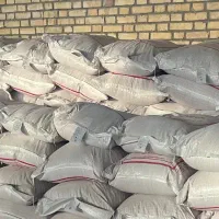 توزیع بذر گندم اصلاح شده|خدمات باغبانی و درختکاری|رزن, |دیوار