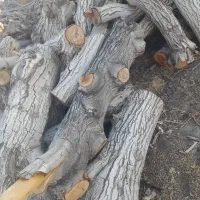 چند تن چوب خشک خشک سنجد توت زبان گنجشک گردو|عمده‌فروشی|ری, امین آباد|دیوار