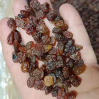 کشمش پلویی مطهر|خوردنی و آشامیدنی|قم, حاج زینل|دیوار