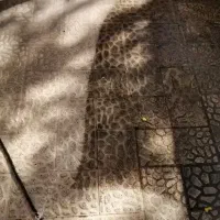 کفسابی سنگسابی سابزن|خدمات نظافت|کرج, گلشهر|دیوار